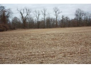 Property photo 18 - MAJOR LAND AUCTION - 541+/- Acres offered in 5 Tracts